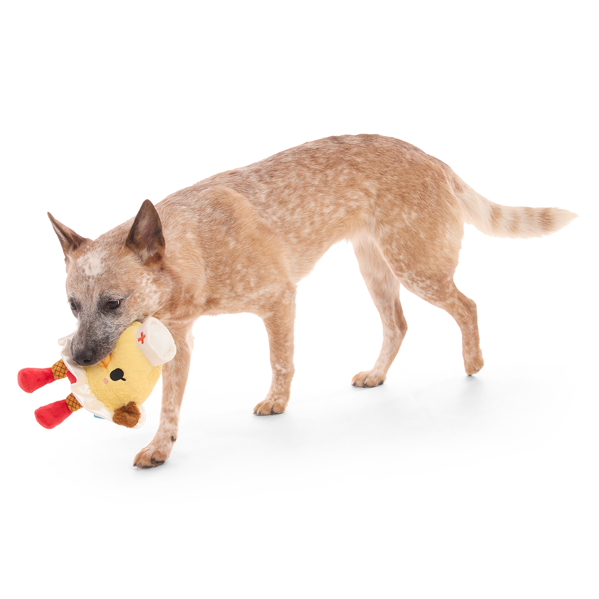 Nurse McSpicy Plush 2-in-1 + Tug Dog Toy - Image 3
