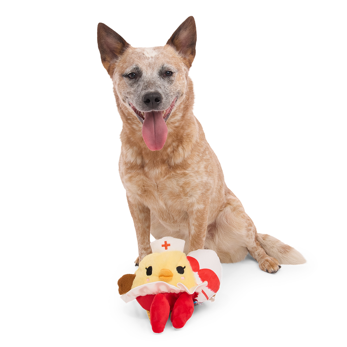Nurse McSpicy Plush 2-in-1 + Tug Dog Toy - Image 2