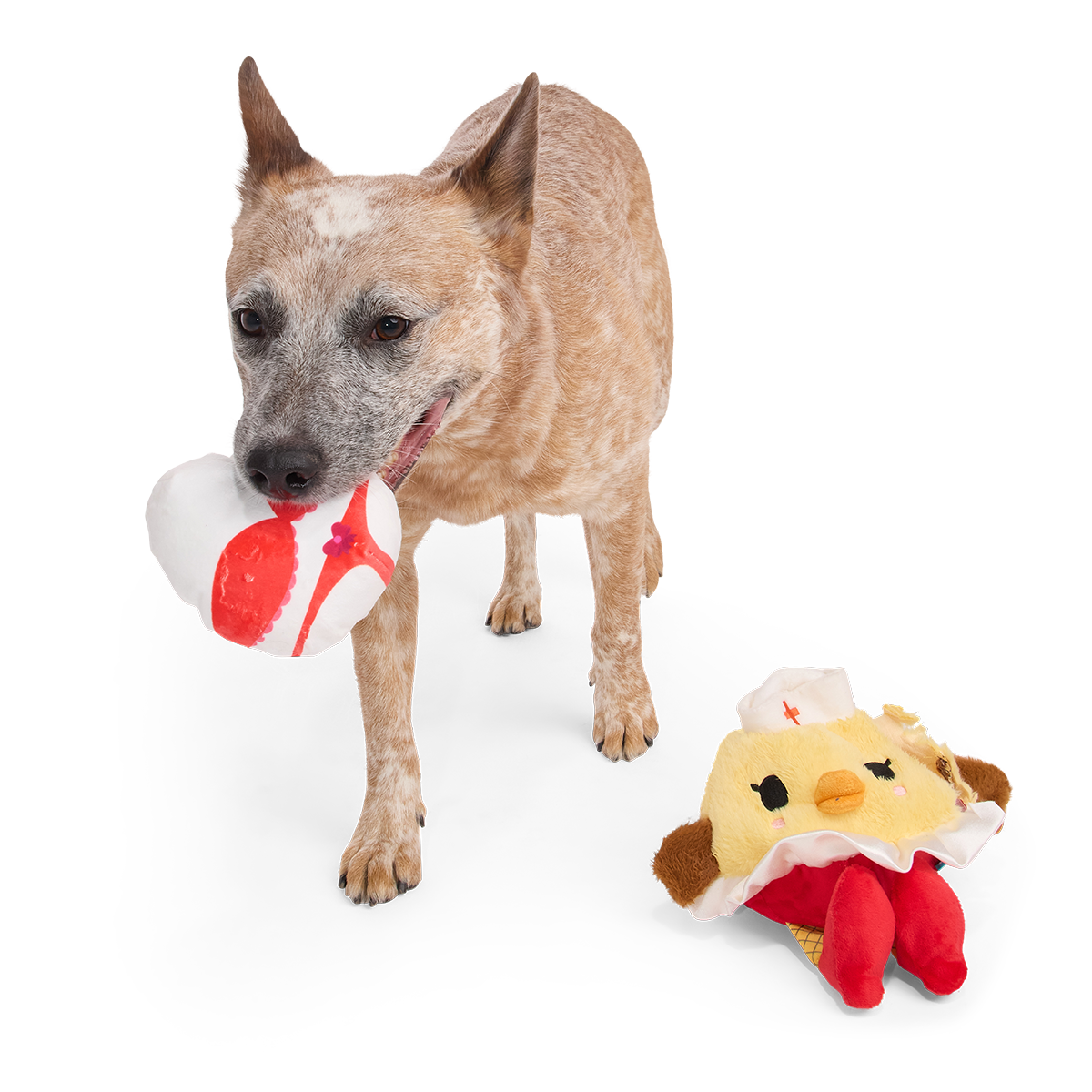 Nurse McSpicy Plush 2-in-1 + Tug Dog Toy - Image 5