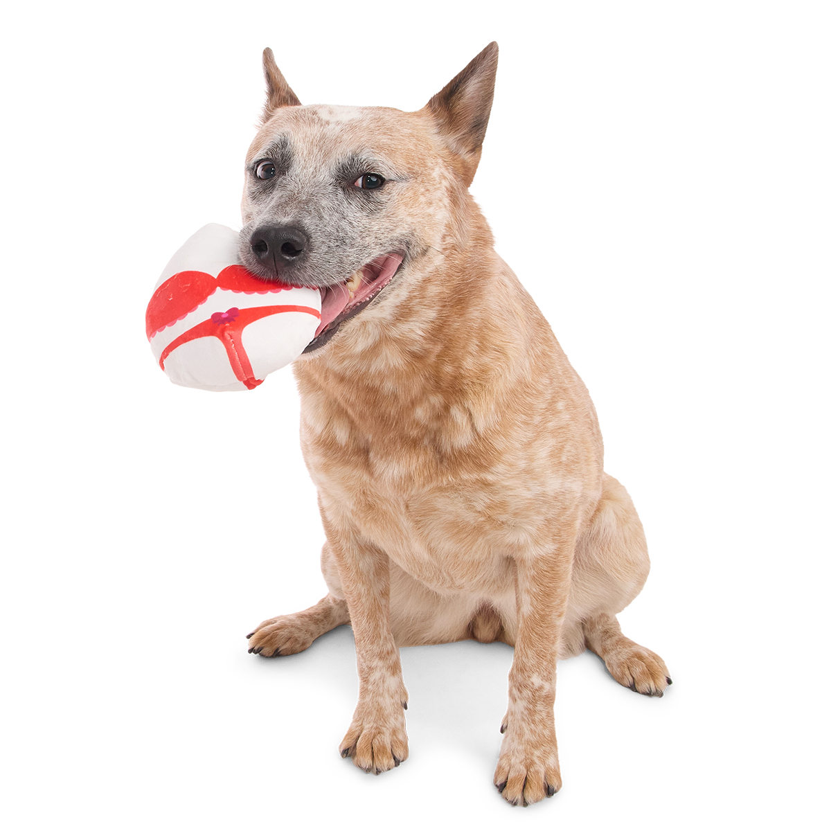 Nurse McSpicy Plush 2-in-1 + Tug Dog Toy - Image 6