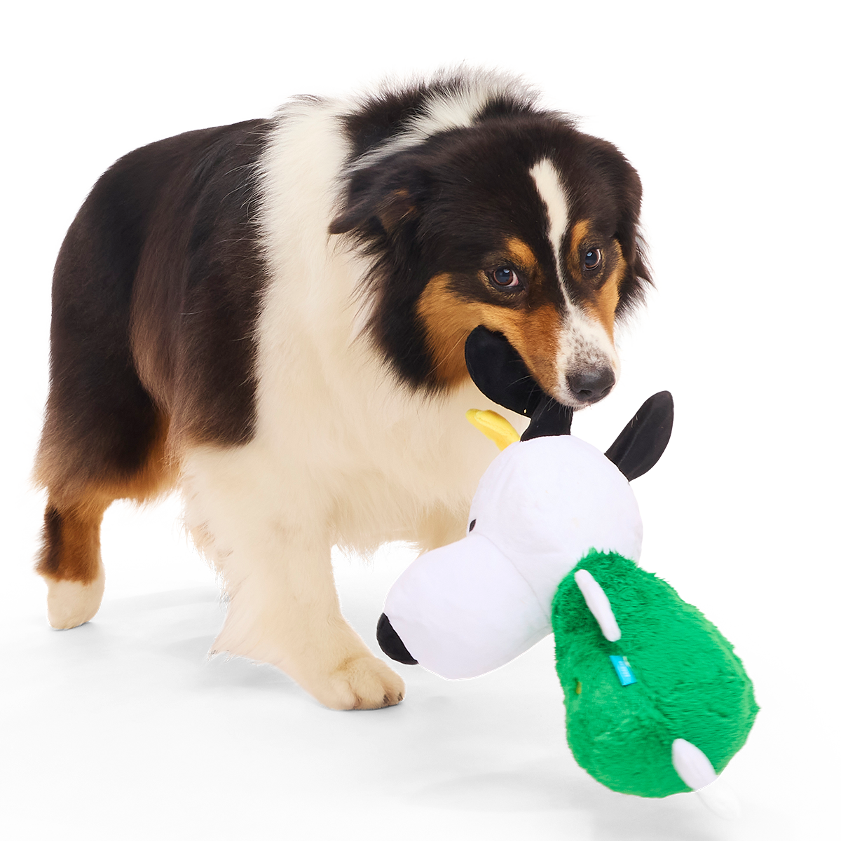 O Snoopy Tree Plush Extra-Large + Tug Dog Toy - Image 4