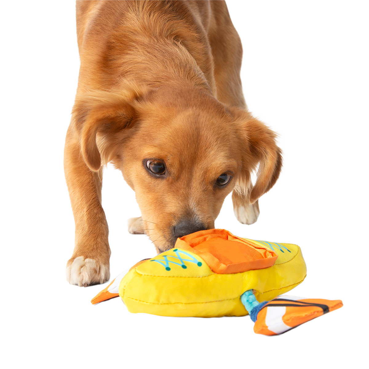 Off Track Kayak Plush Tug Dog Toy - Image 5