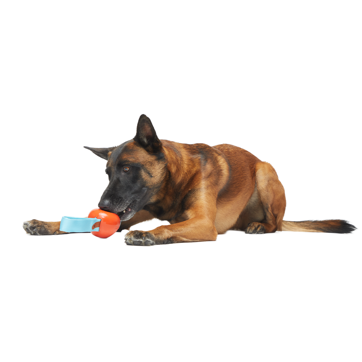 One Bad Apple Super Chewer Durable Tug + Enrichment Dog Toy - Image 2