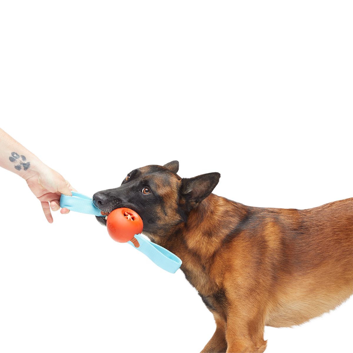 One Bad Apple Super Chewer Durable Tug + Enrichment Dog Toy - Image 4