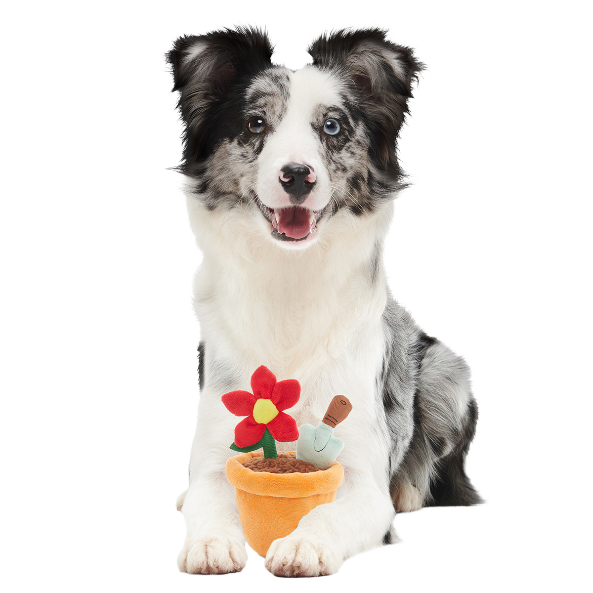 Pawtted Plant Plush Tug Dog Toy - Image 2