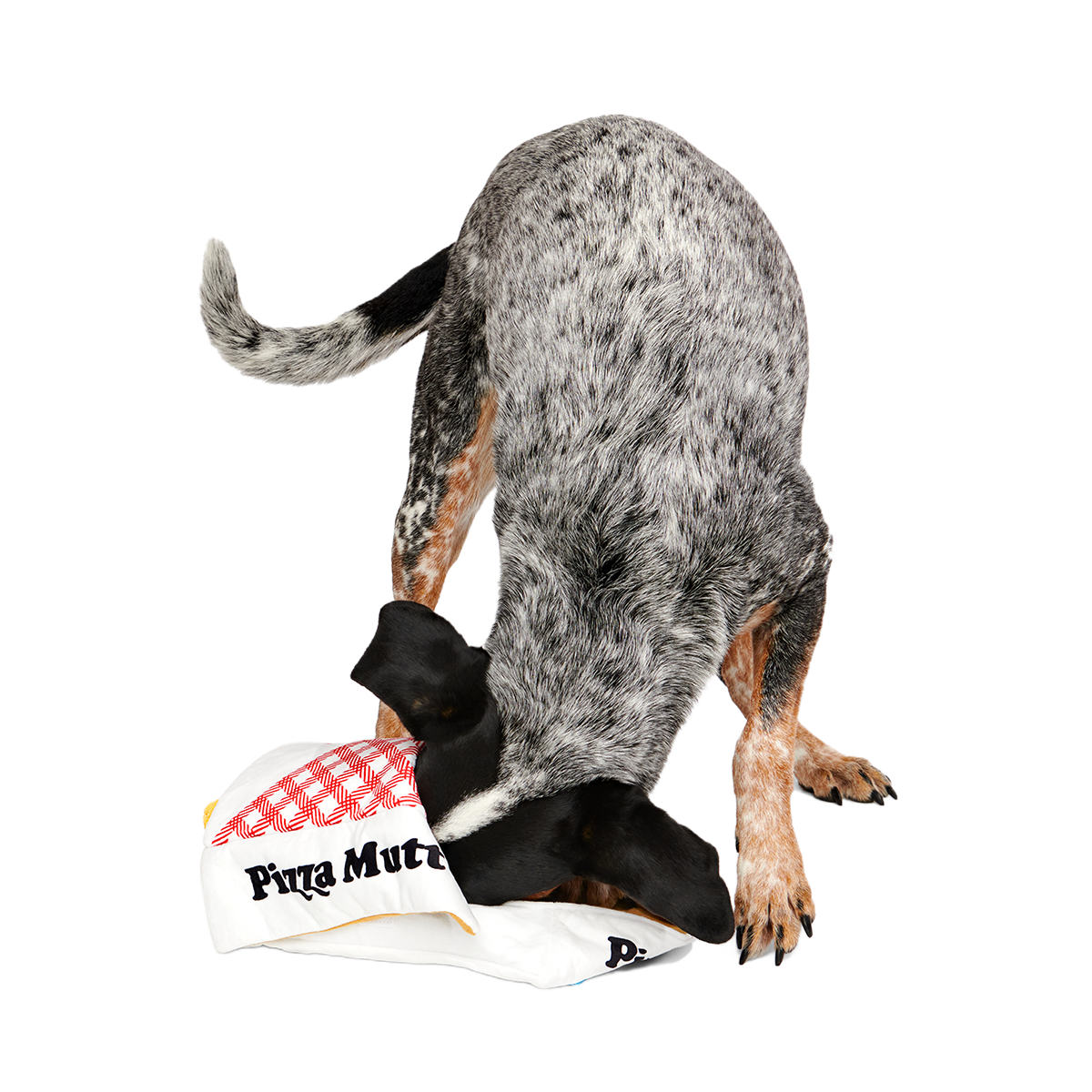 Pizza Pawty Plush Multi-Part + Enrichment Dog Toy - Image 3
