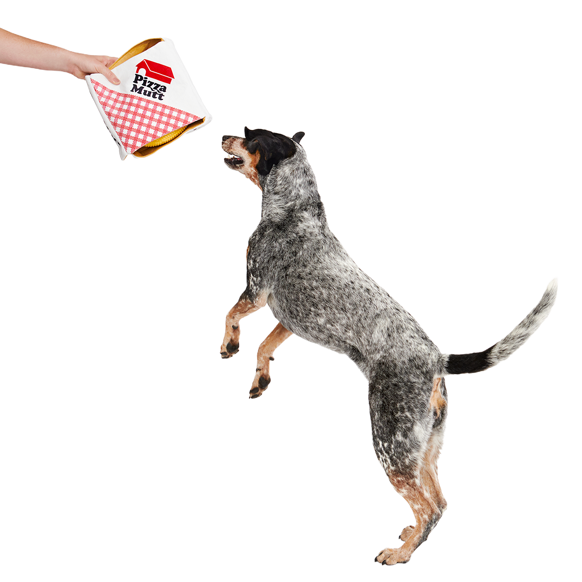Pizza Pawty Plush Multi-Part + Enrichment Dog Toy - Image 4