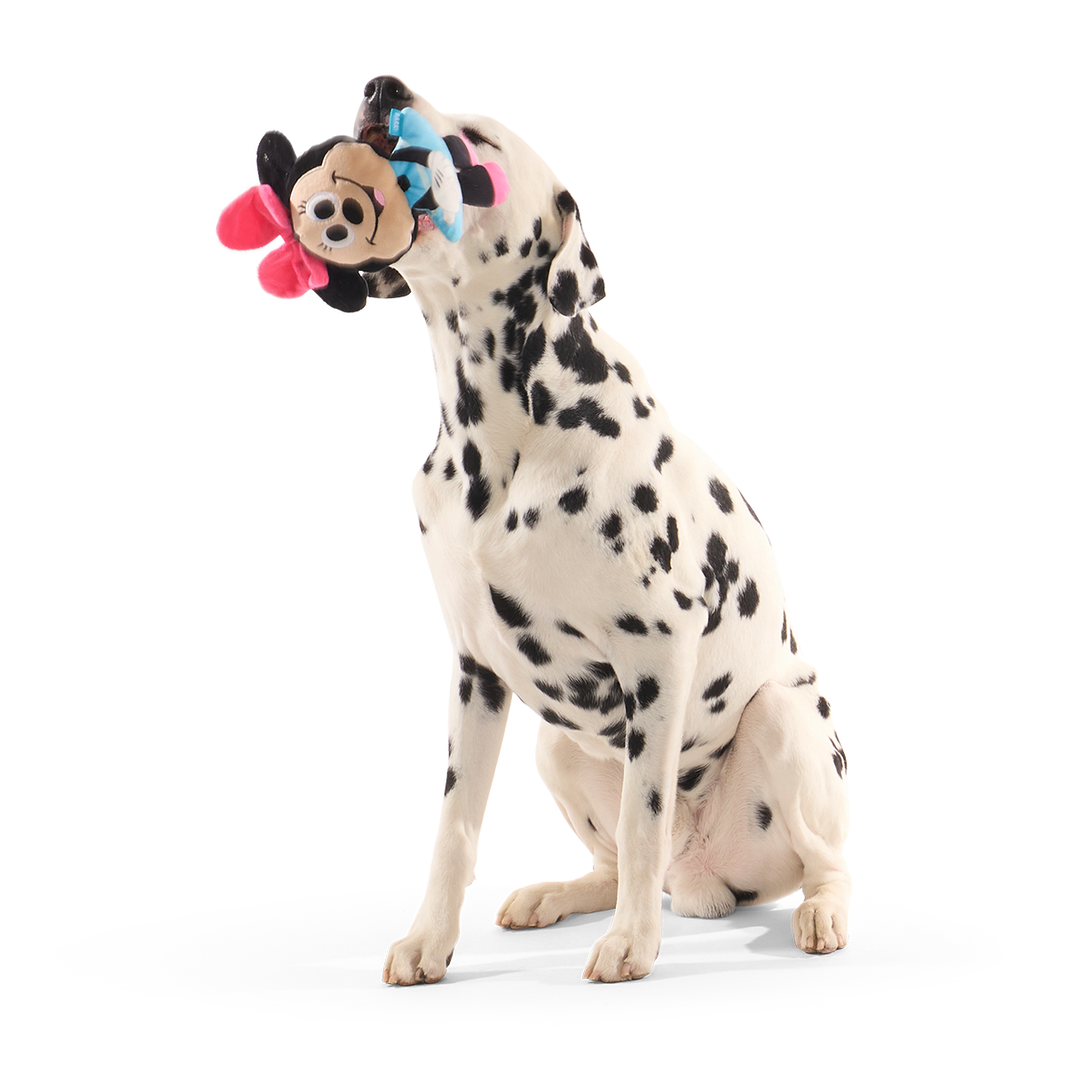 Playtime Pal Minnie Plush Tug + Fetch Dog Toy - Image 2