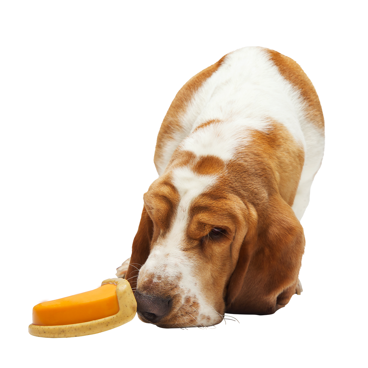 Powered Up Pie Super Chewer Durable Gnaw Dog Toy - Image 2