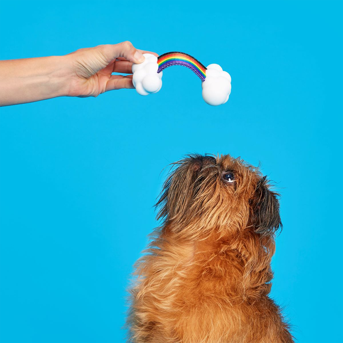 Proud Pup Rainbow Tug Super Chewer Durable Tug Dog Toy - Image 3
