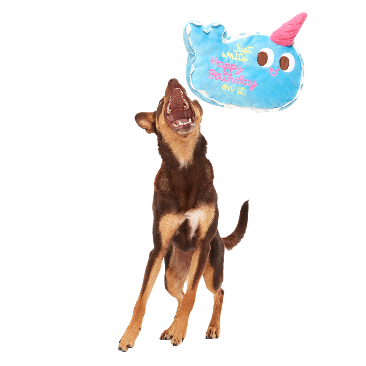 Pudgy the Narwhal Cake Plush Extra-Large Dog Toy - Image 3