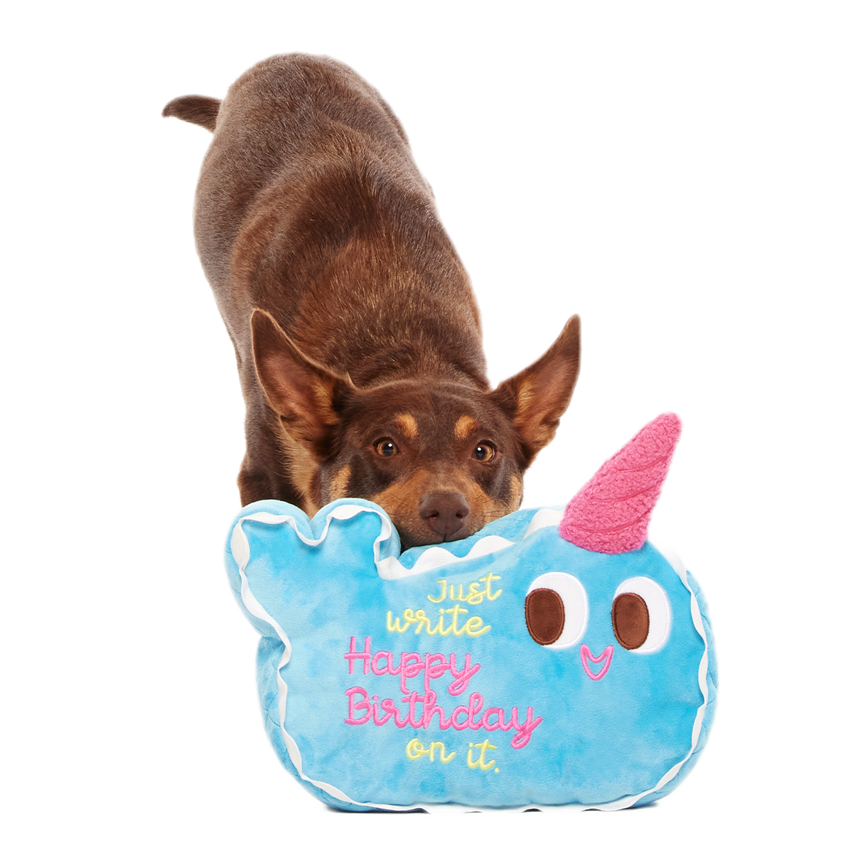 Pudgy the Narwhal Cake Plush Extra-Large Dog Toy - Image 4