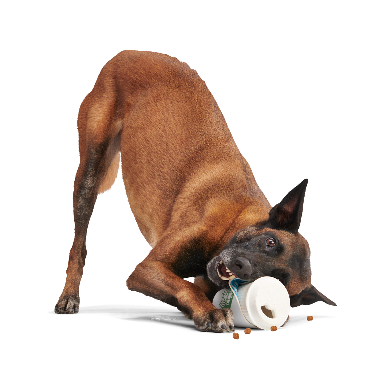 Pupkin Spice Yappuccino Super Chewer Durable 2-in-1 + Enrichment Dog Toy - Image 6