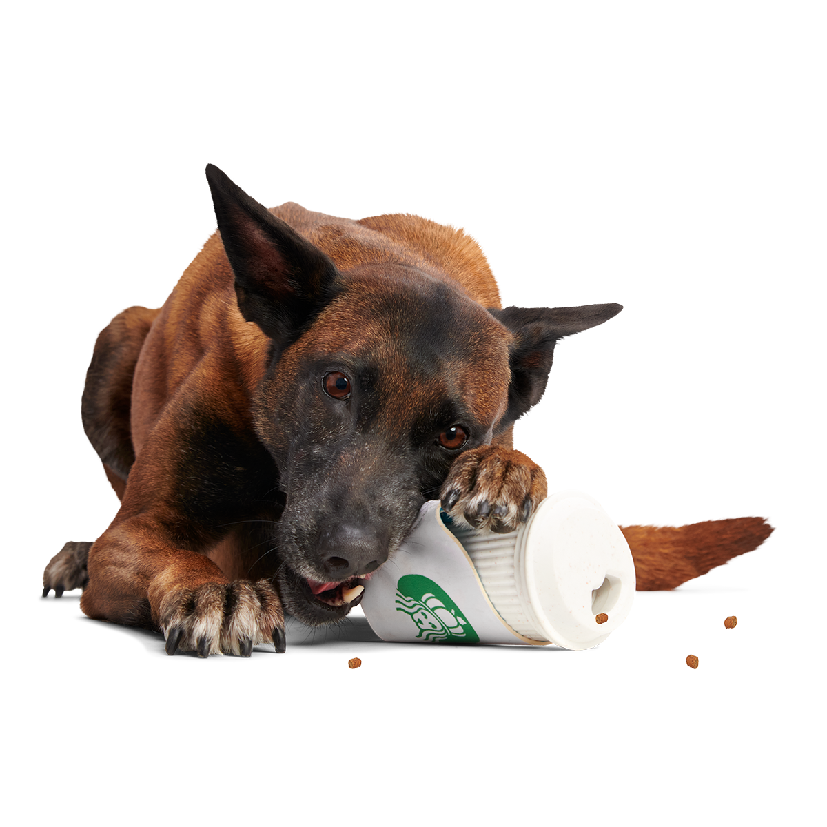 Pupkin Spice Yappuccino Super Chewer Durable 2-in-1 + Enrichment Dog Toy - Image 5