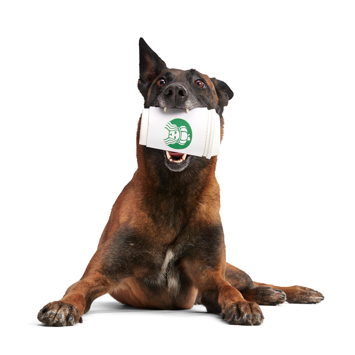 Pupkin Spice Yappuccino Super Chewer Durable 2-in-1 + Enrichment Dog Toy - Image 4