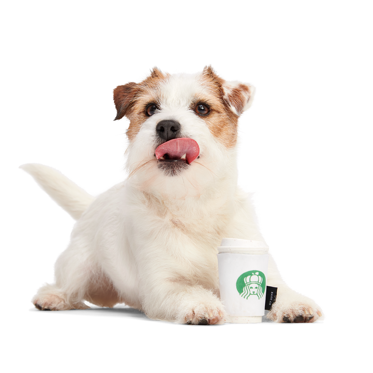 Pupkin Spice Yappuccino Super Chewer Durable 2-in-1 + Enrichment Dog Toy - Image 2