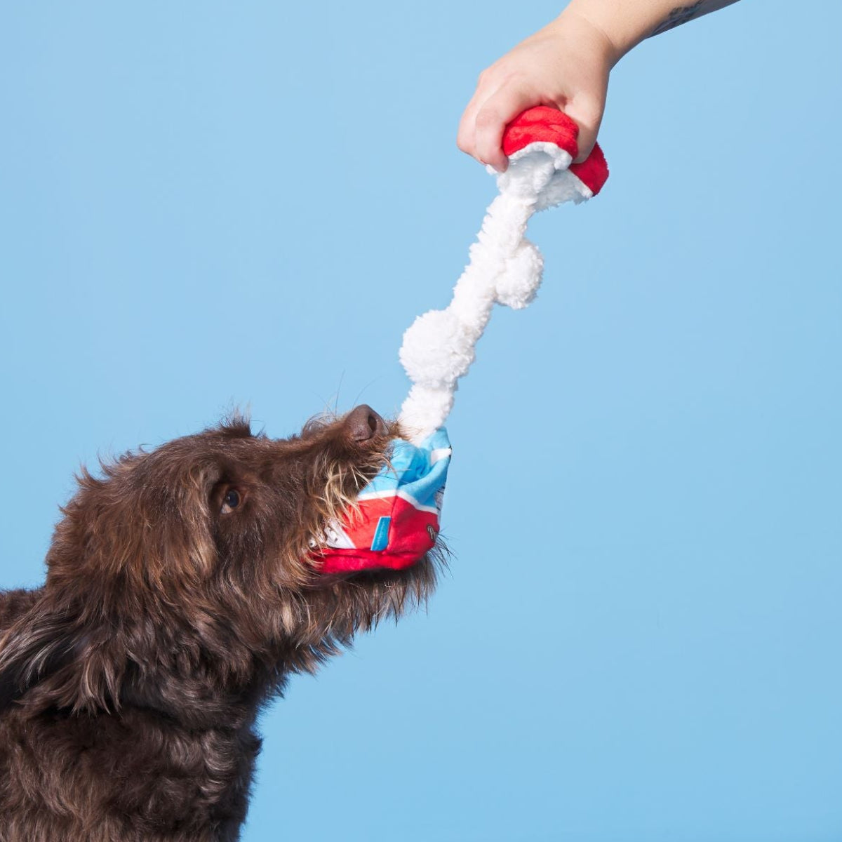 Poopies N' Cream Plush Tug + Enrichment Dog Toy - Image 3
