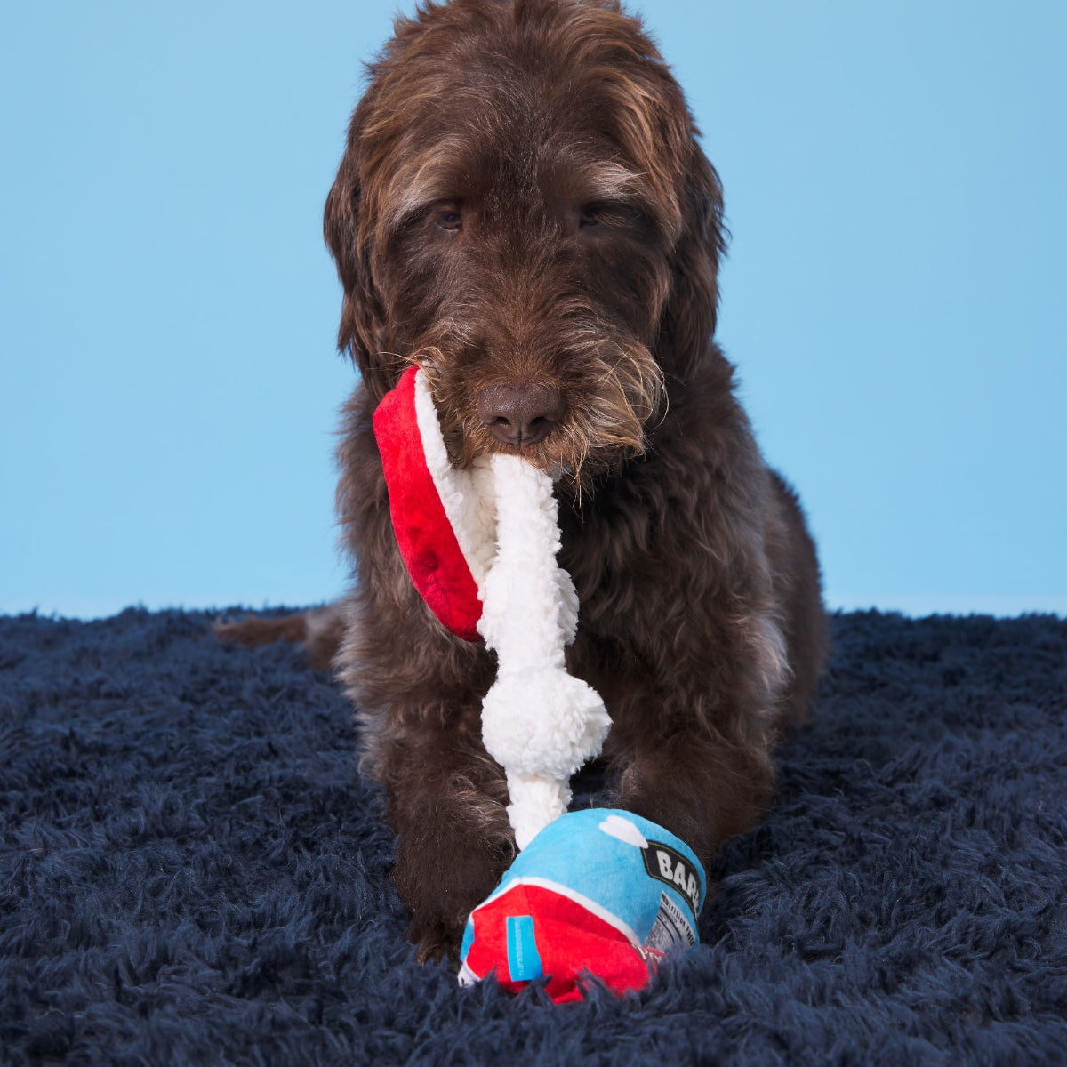Poopies N' Cream Plush Tug + Enrichment Dog Toy - Image 4