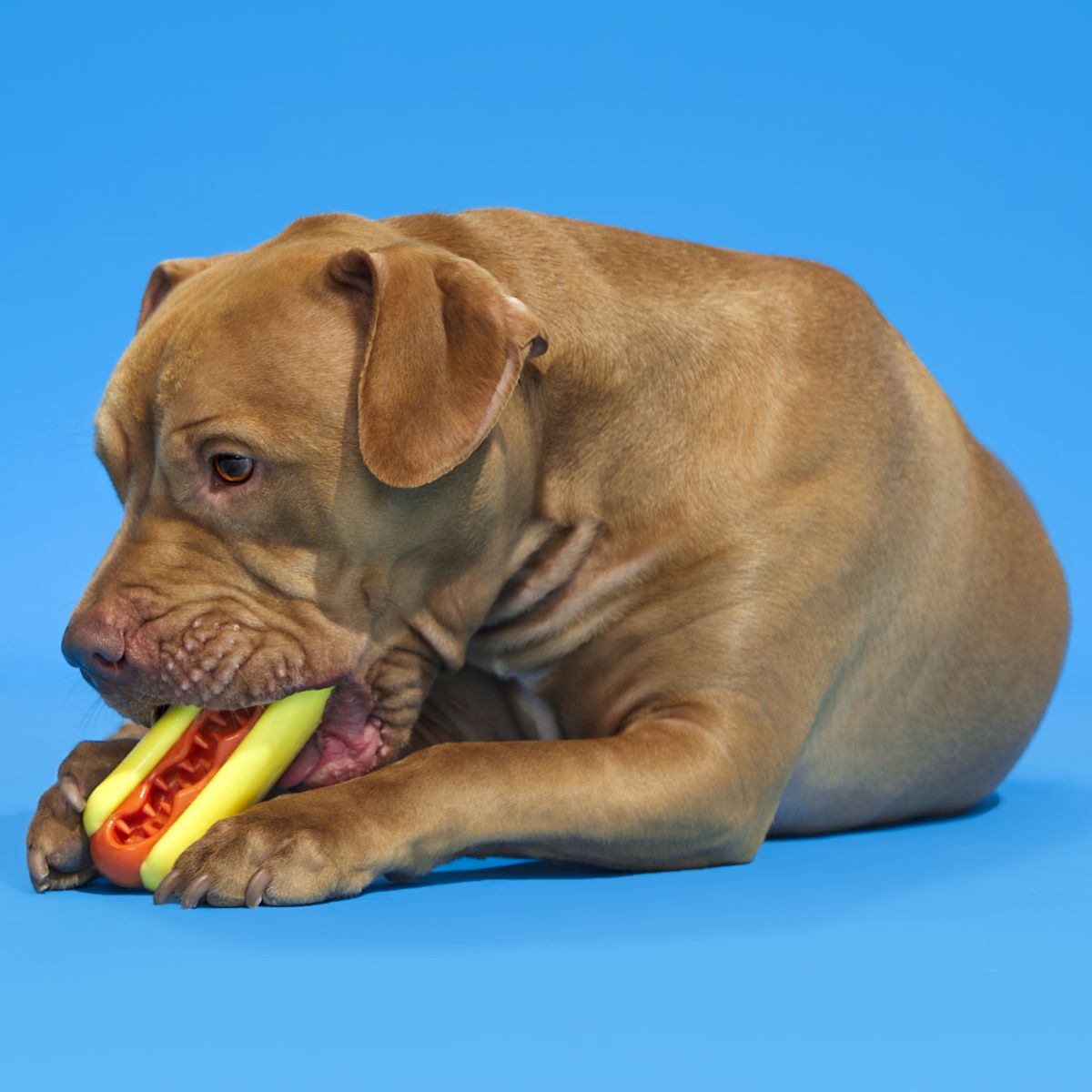 Treat Meat Hotdog Super Chewer Durable Enrichment Dog Toy - Image 2