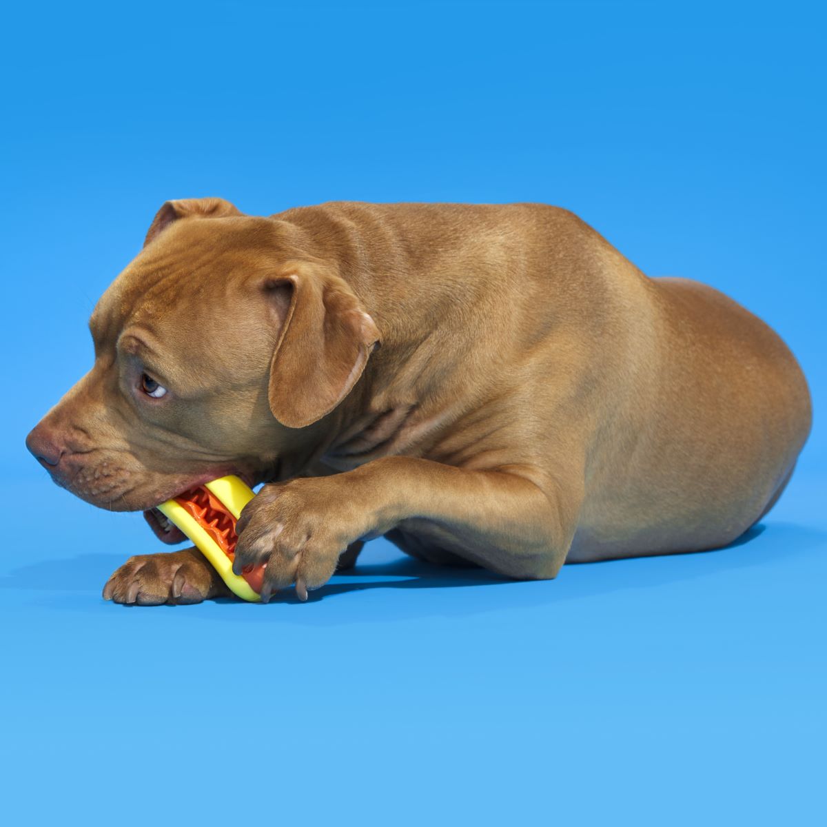 Treat Meat Hotdog Super Chewer Durable Enrichment Dog Toy - Image 3