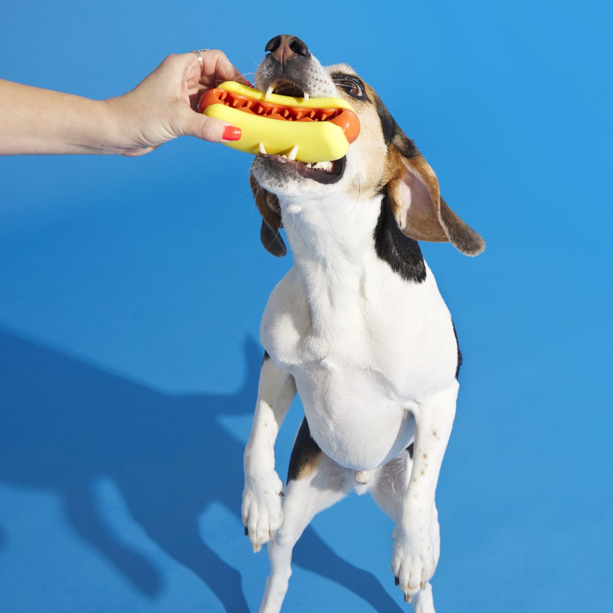 Treat Meat Hotdog Super Chewer Durable Enrichment Dog Toy - Image 4