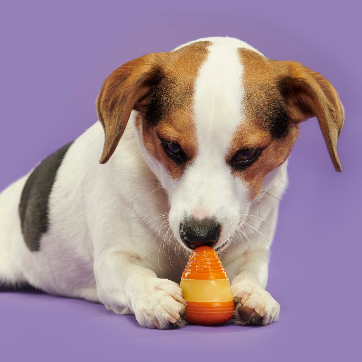 Canine Corn Super Chewer Durable Gnaw + Enrichment Dog Toy - Image 3