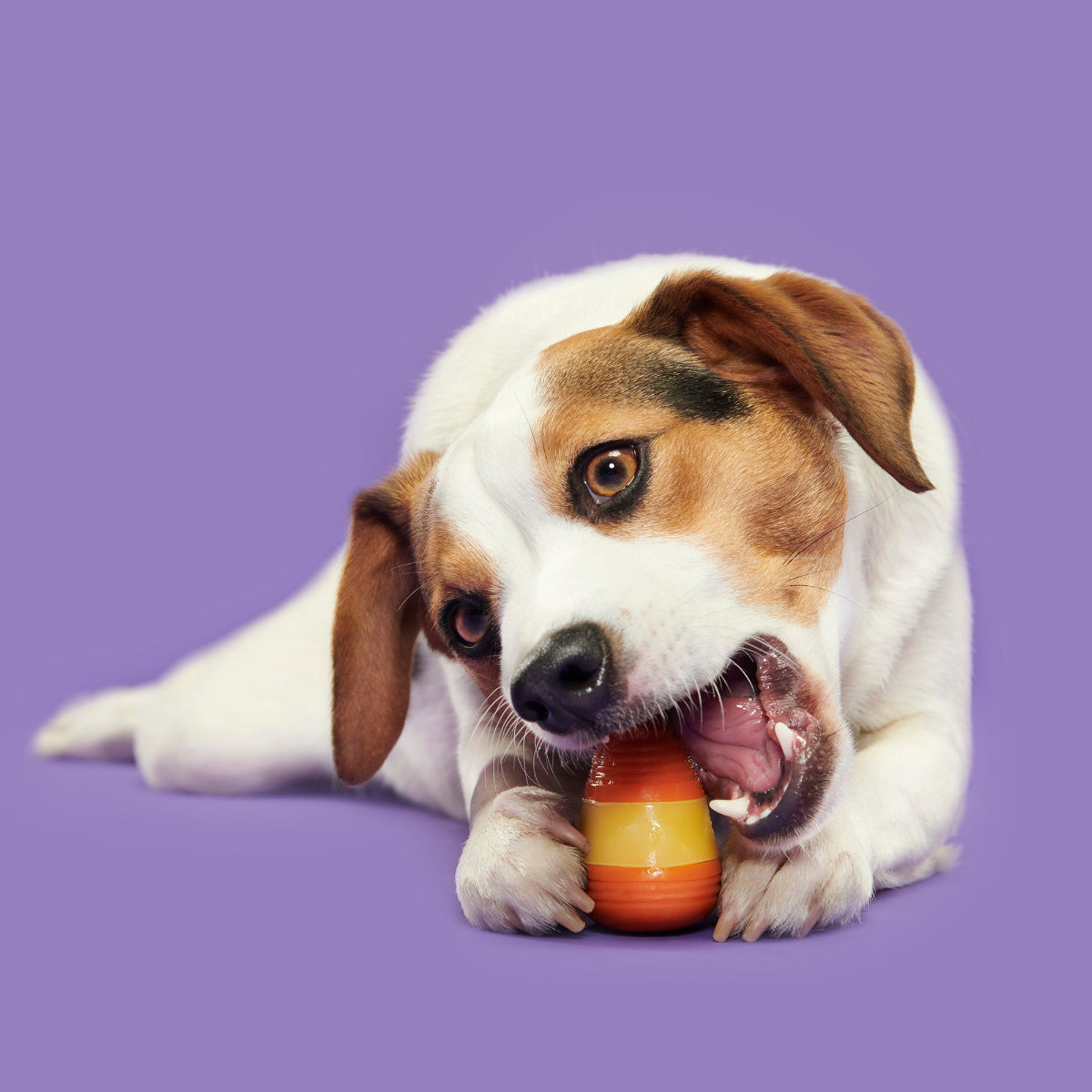 Canine Corn Super Chewer Durable Gnaw + Enrichment Dog Toy - Image 2