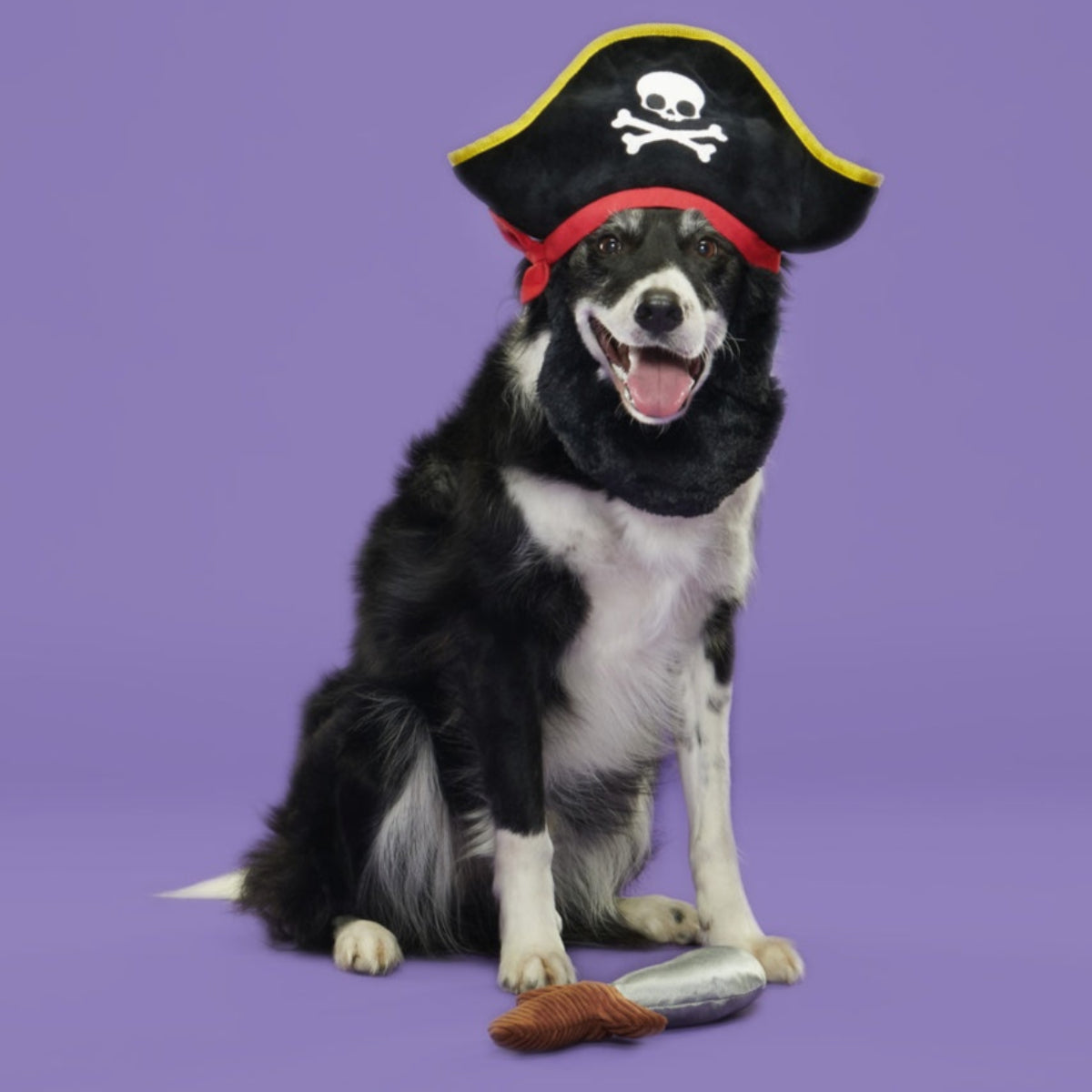 Bark Beard Plush Multi-Part + Wearable Dog Toy - Image 5
