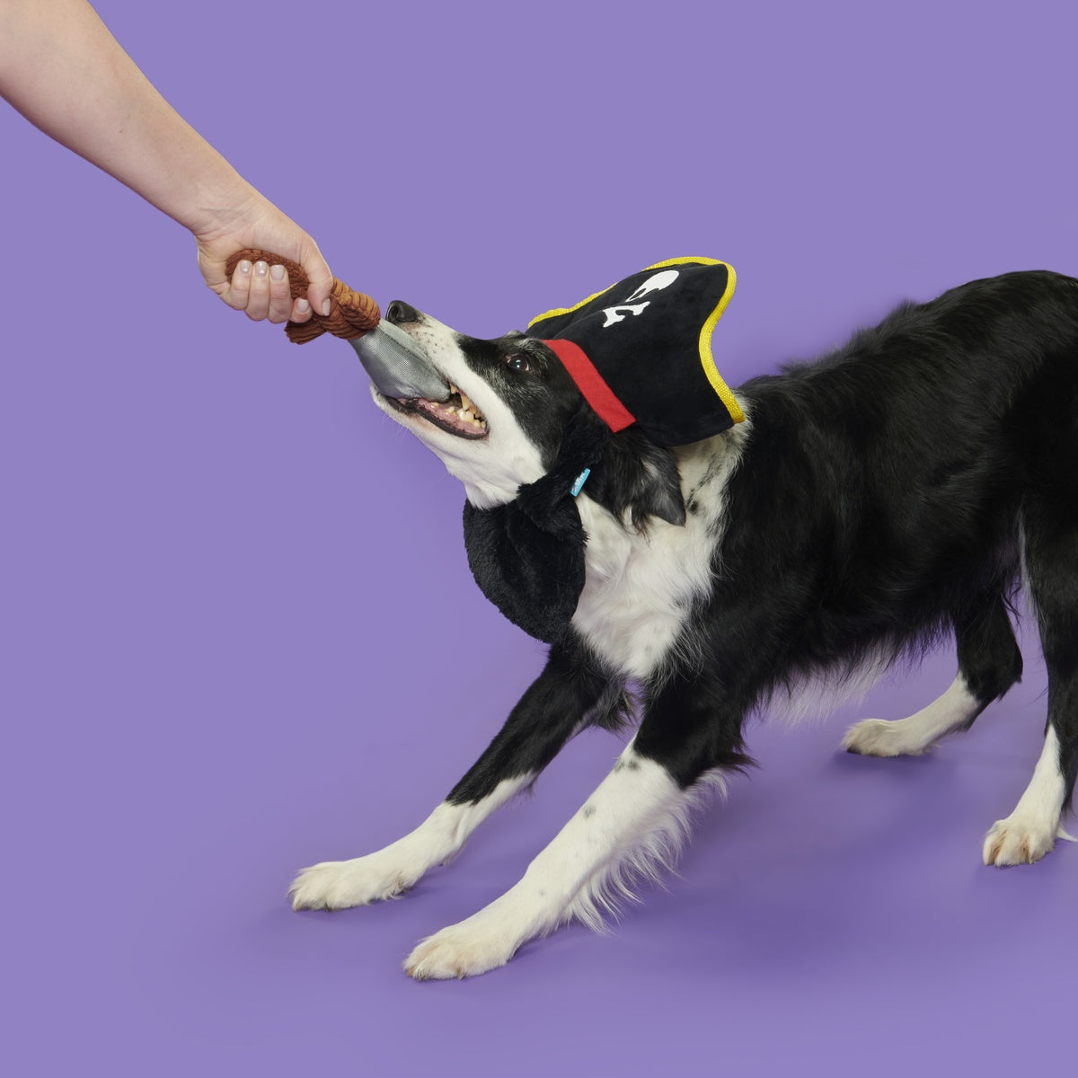Bark Beard Plush Multi-Part + Wearable Dog Toy - Image 3