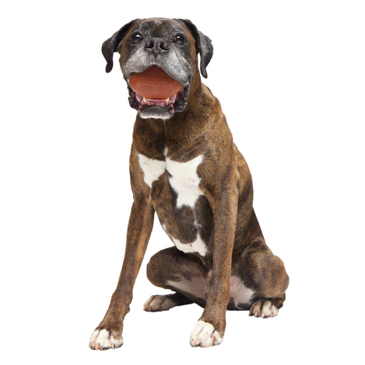 Chompionship Football Super Chewer Durable Fetch Dog Toy - Image 2