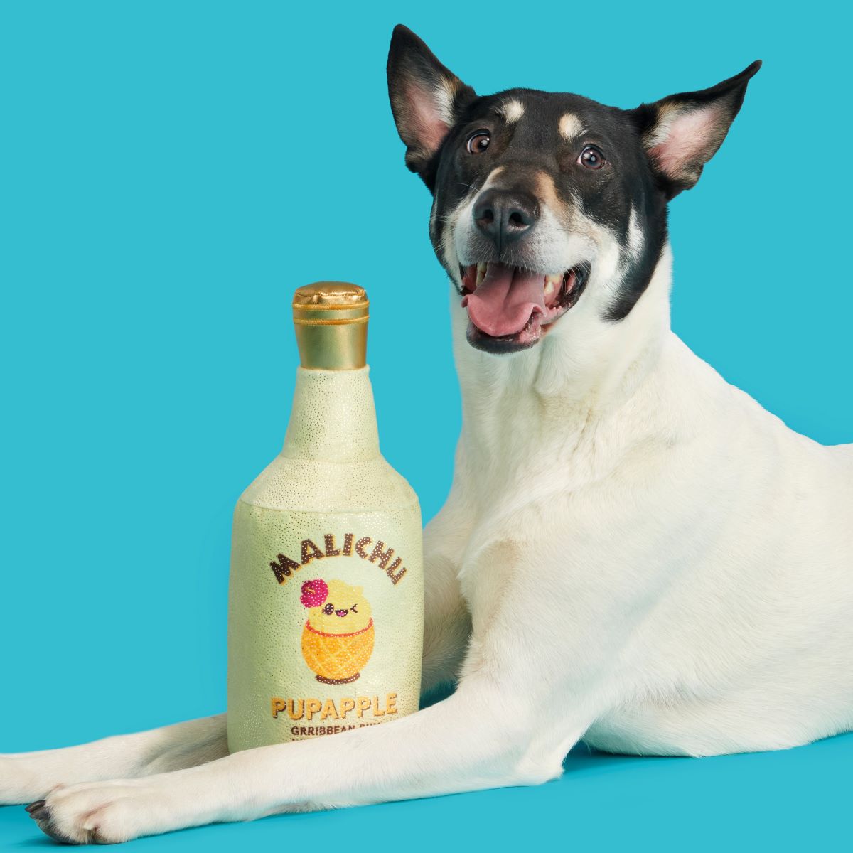 Malichu Rum Plush Extra-Large + Tug Dog Toy - Image 6