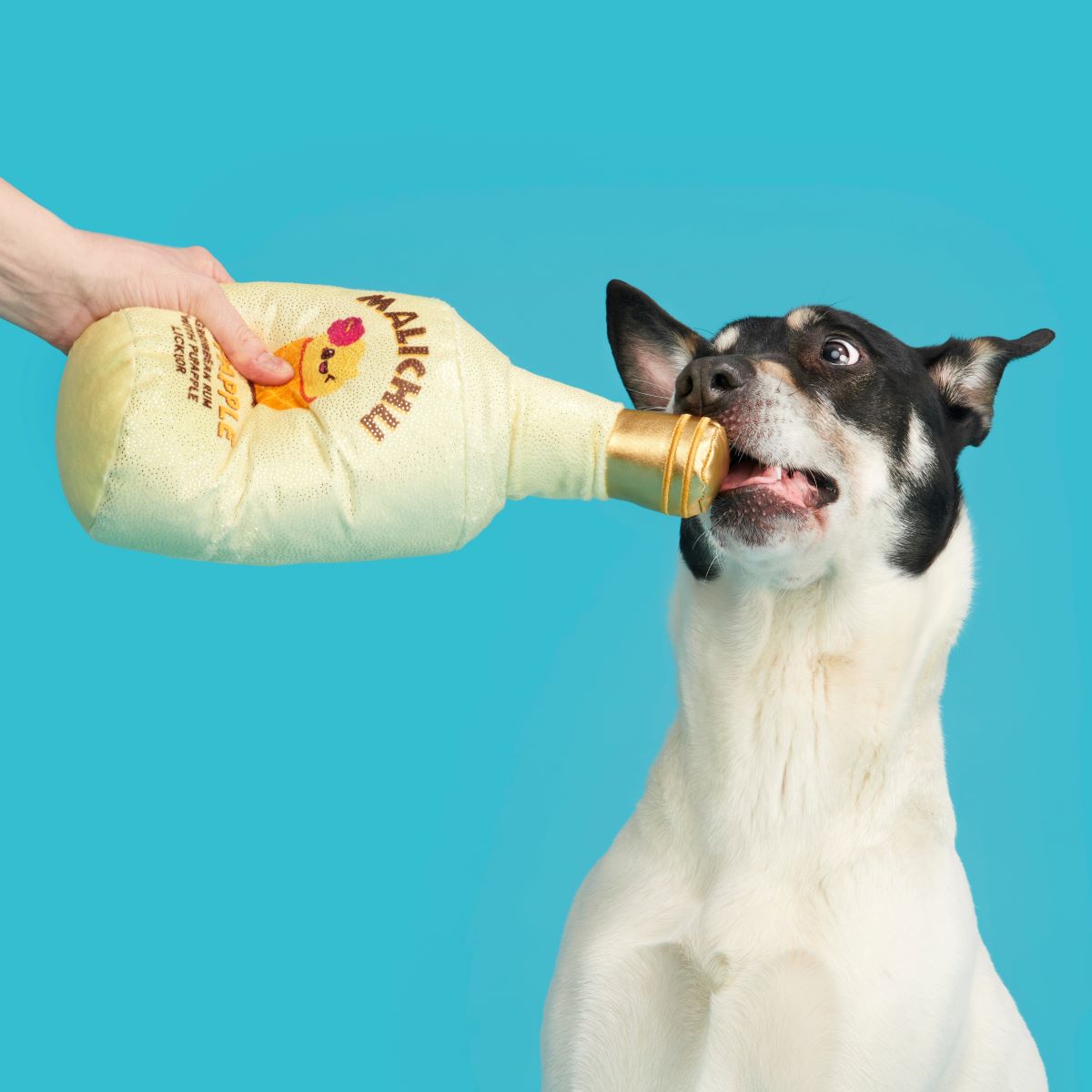 Malichu Rum Plush Extra-Large + Tug Dog Toy - Image 5