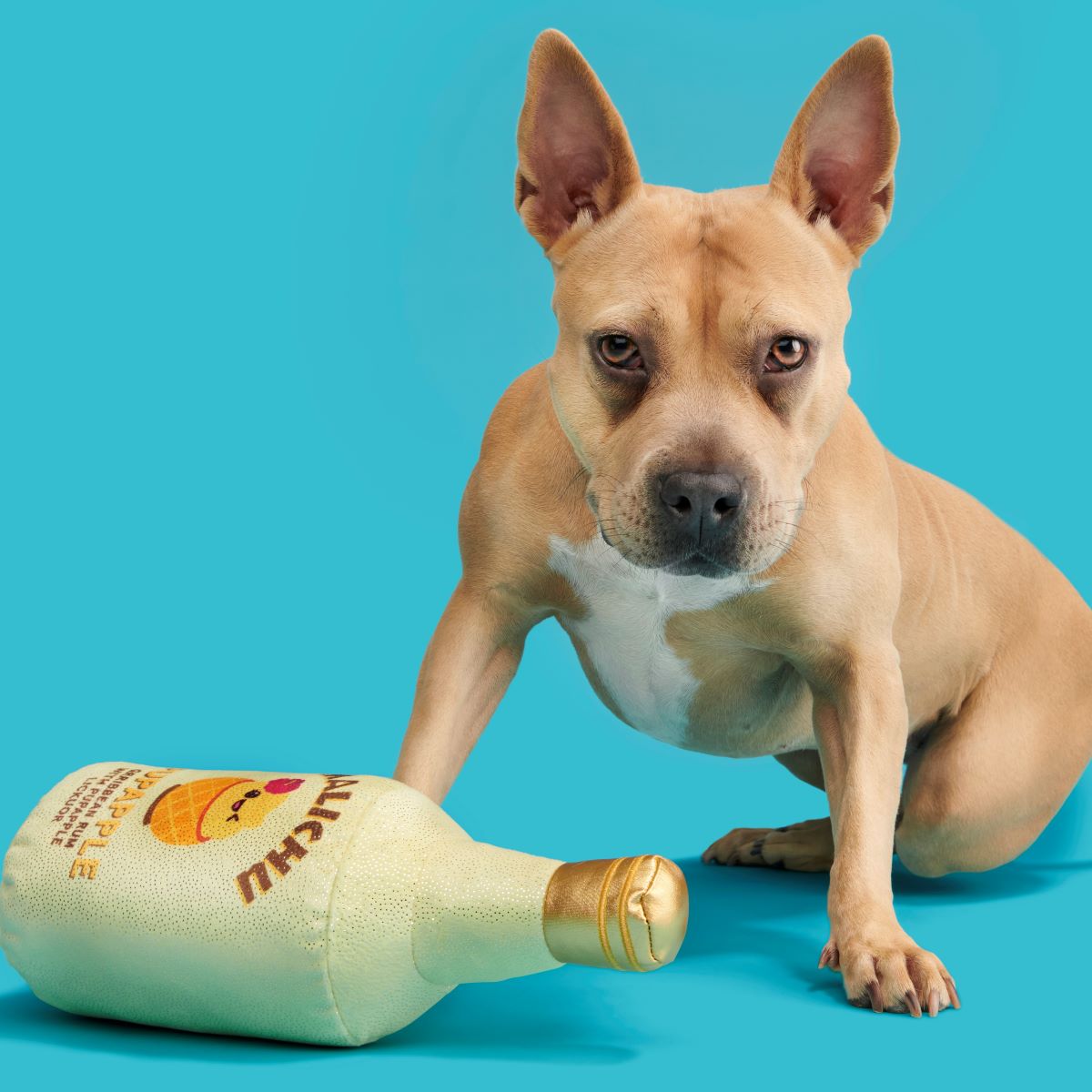 Malichu Rum Plush Extra-Large + Tug Dog Toy - Image 4
