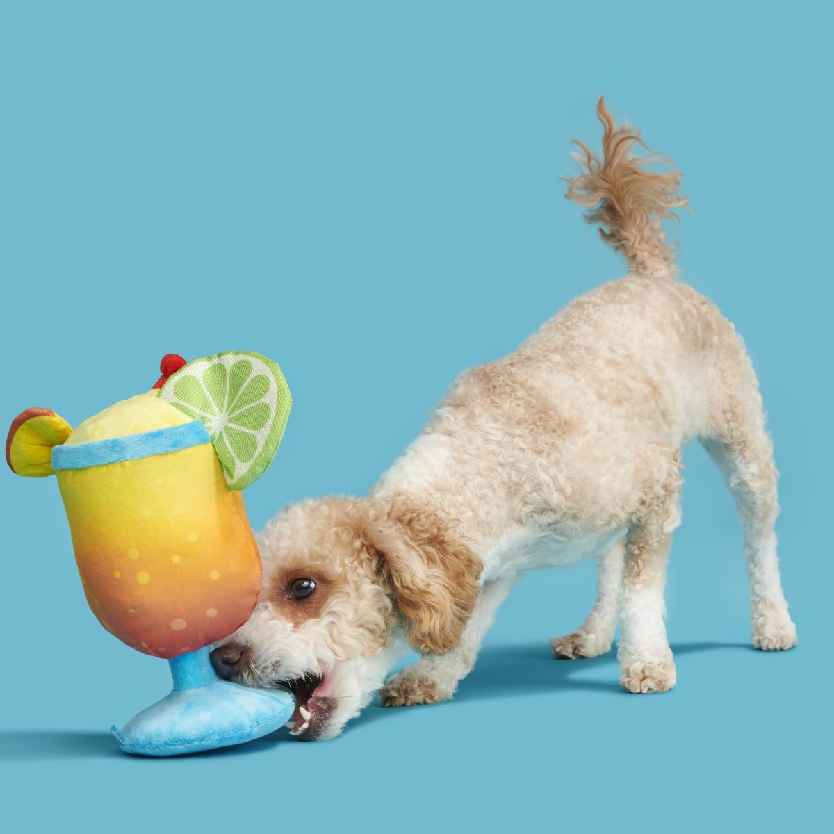 Mai Tail Plush Tug Dog Toy - Image 4