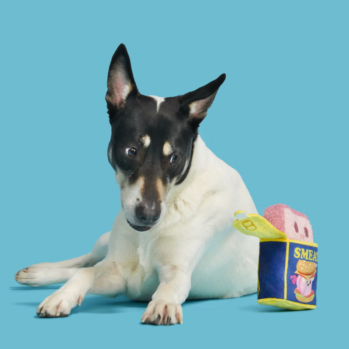 Canned Smeat Plush Multi-Part + Enrichment Dog Toy - Image 6
