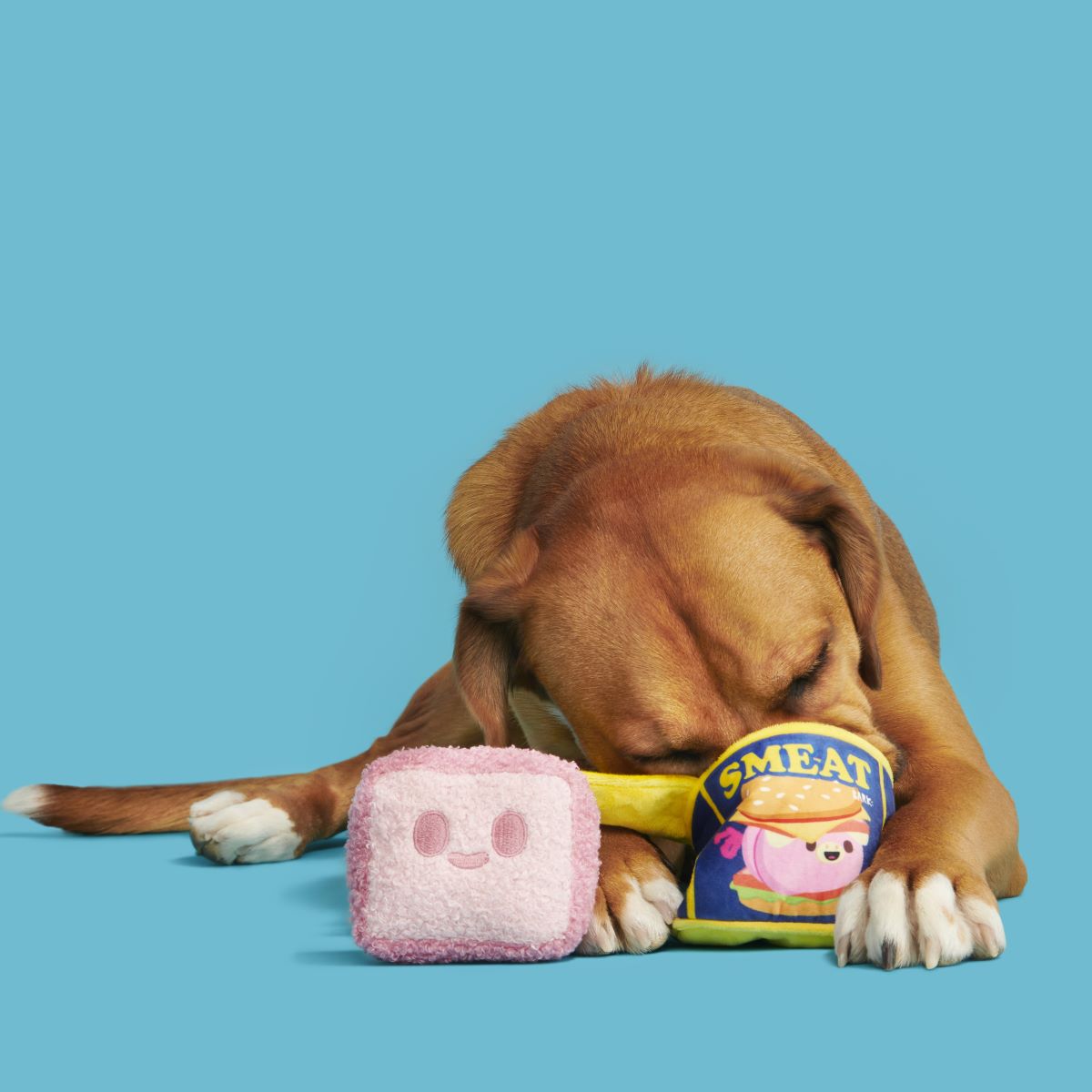 Canned Smeat Plush Multi-Part + Enrichment Dog Toy - Image 8