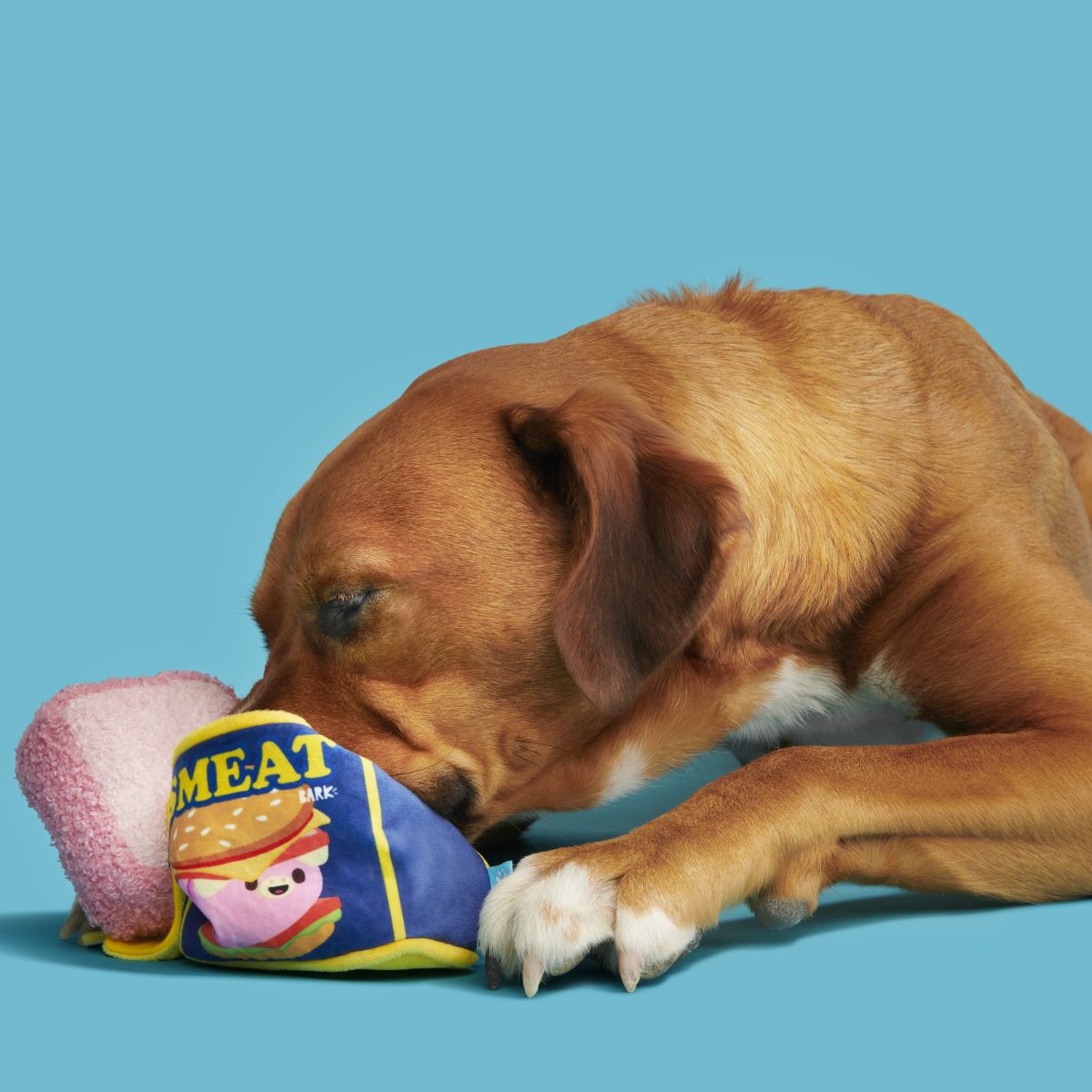 Canned Smeat Plush Multi-Part + Enrichment Dog Toy - Image 9