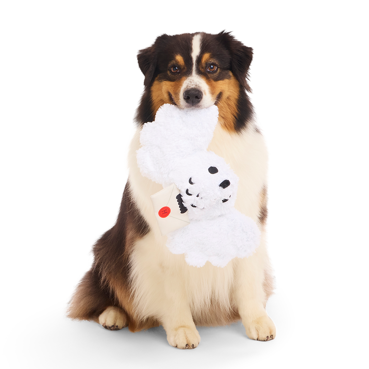 HARRY POTTER™ Plush Multi-Part Dog Toy Bundle - Image 3