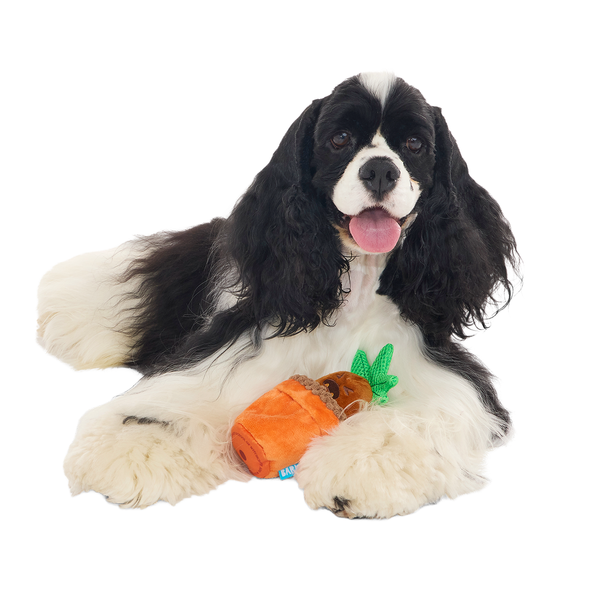 Mandrake™ Plush Tug + Multi-Part Dog Toy - Image 6