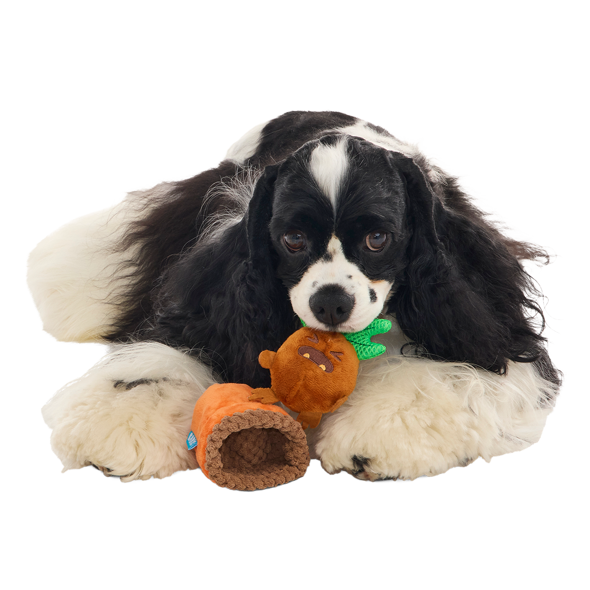 Mandrake™ Plush Tug + Multi-Part Dog Toy - Image 5
