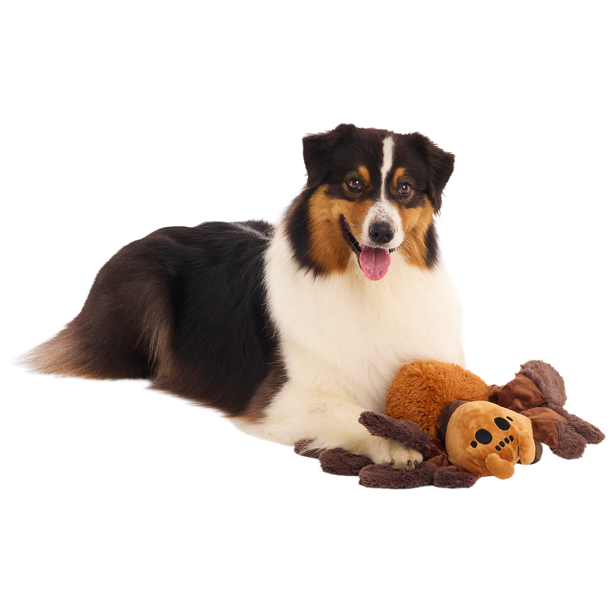Aragog™ Plush Extra-Large + Tug Dog Toy - Image 4