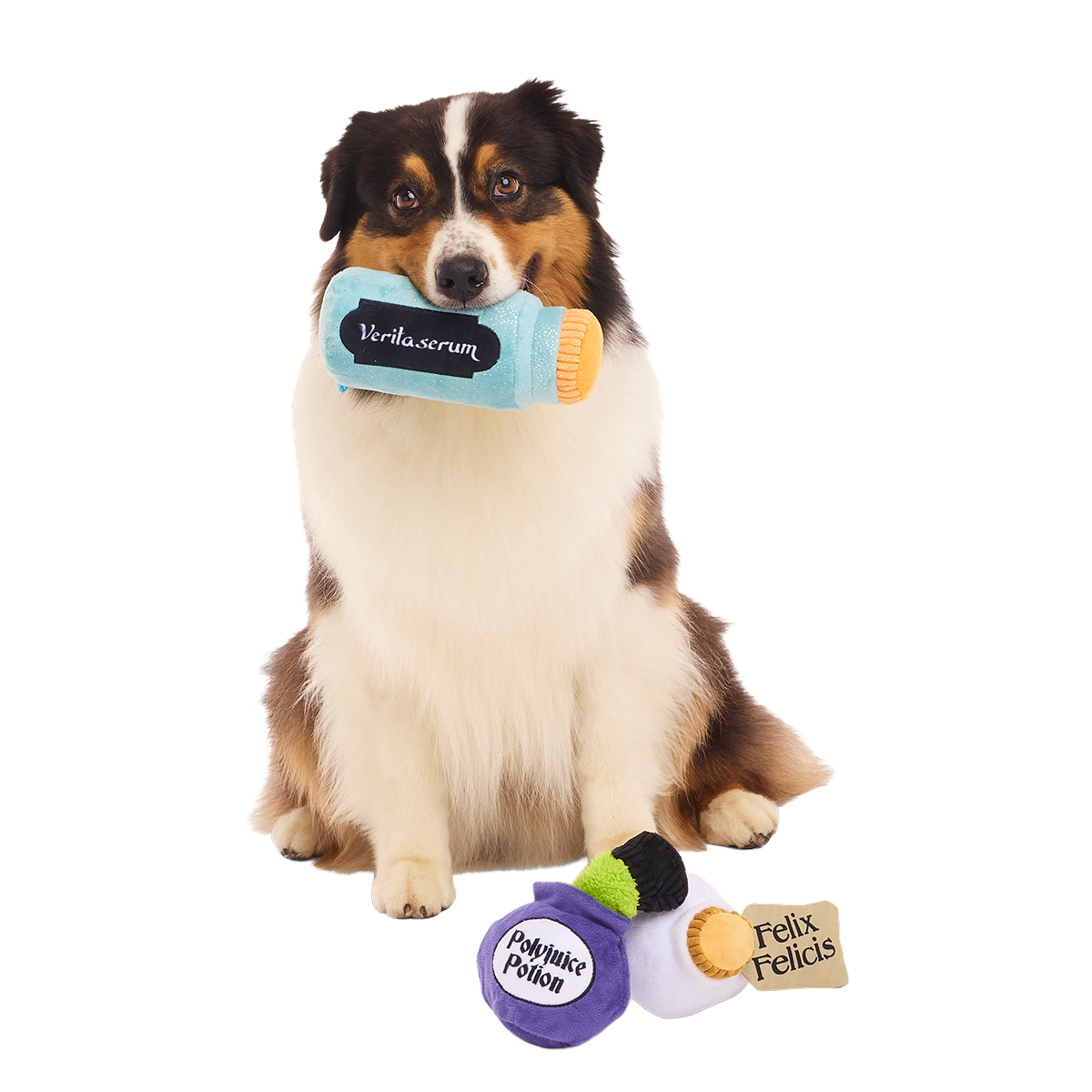 Potions Class Pack™ Plush Multi-Part Dog Toy - Image 5