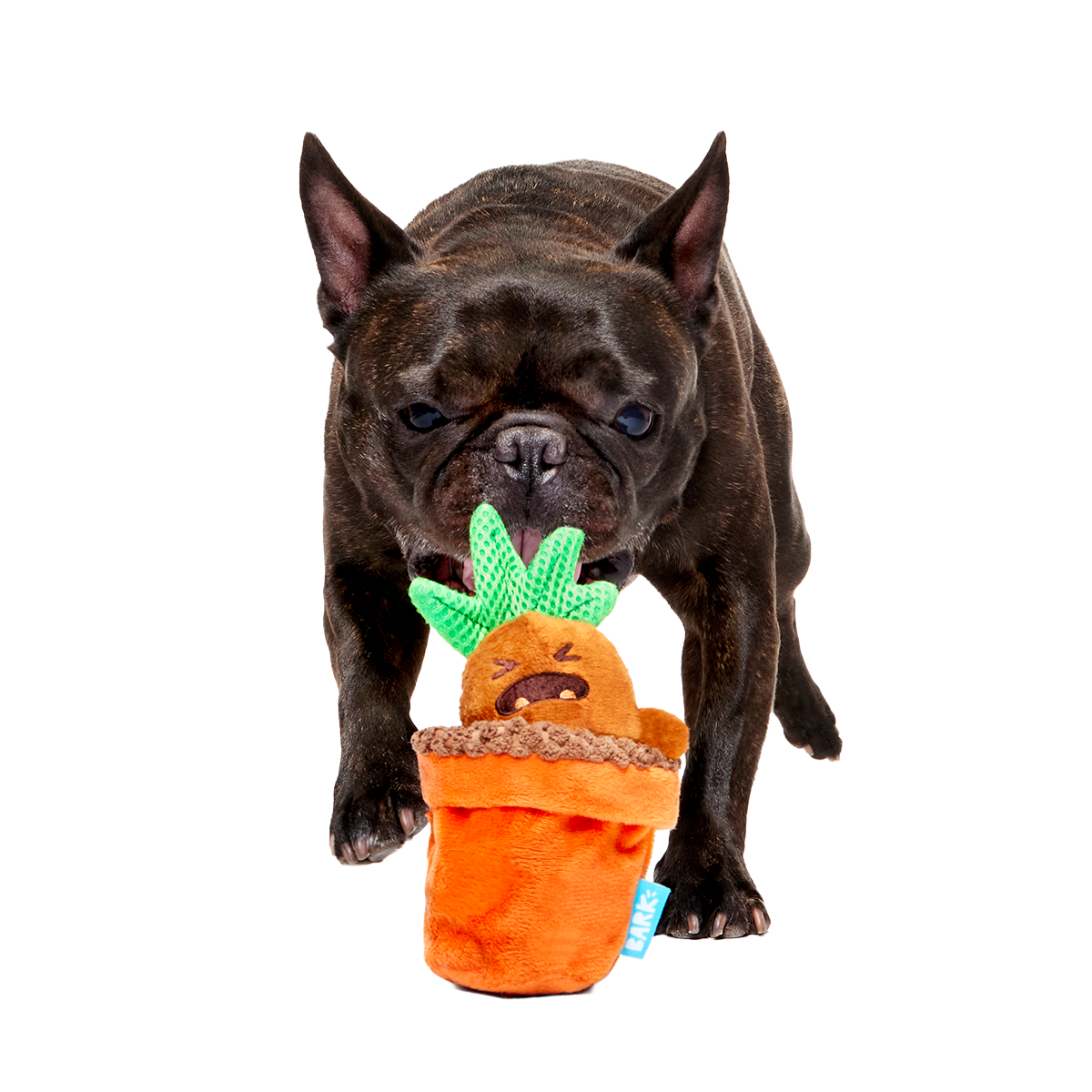 Mandrake™ Plush Tug + Multi-Part Dog Toy - Image 3