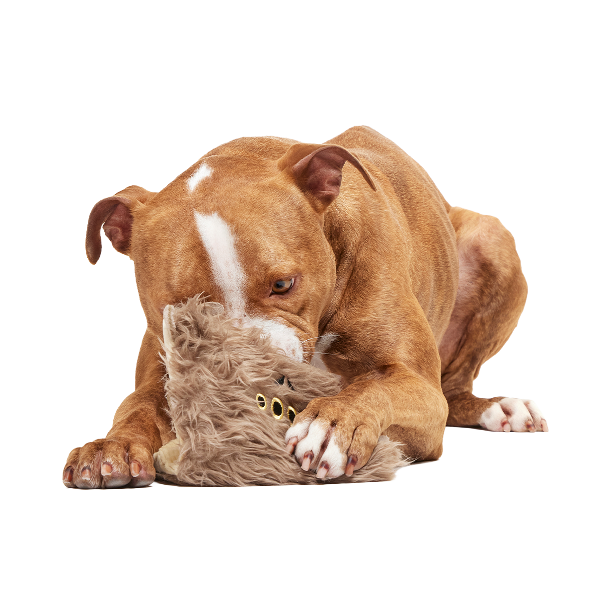 Monster Book of Monsters™ Plush Enrichment Dog Toy - Image 3