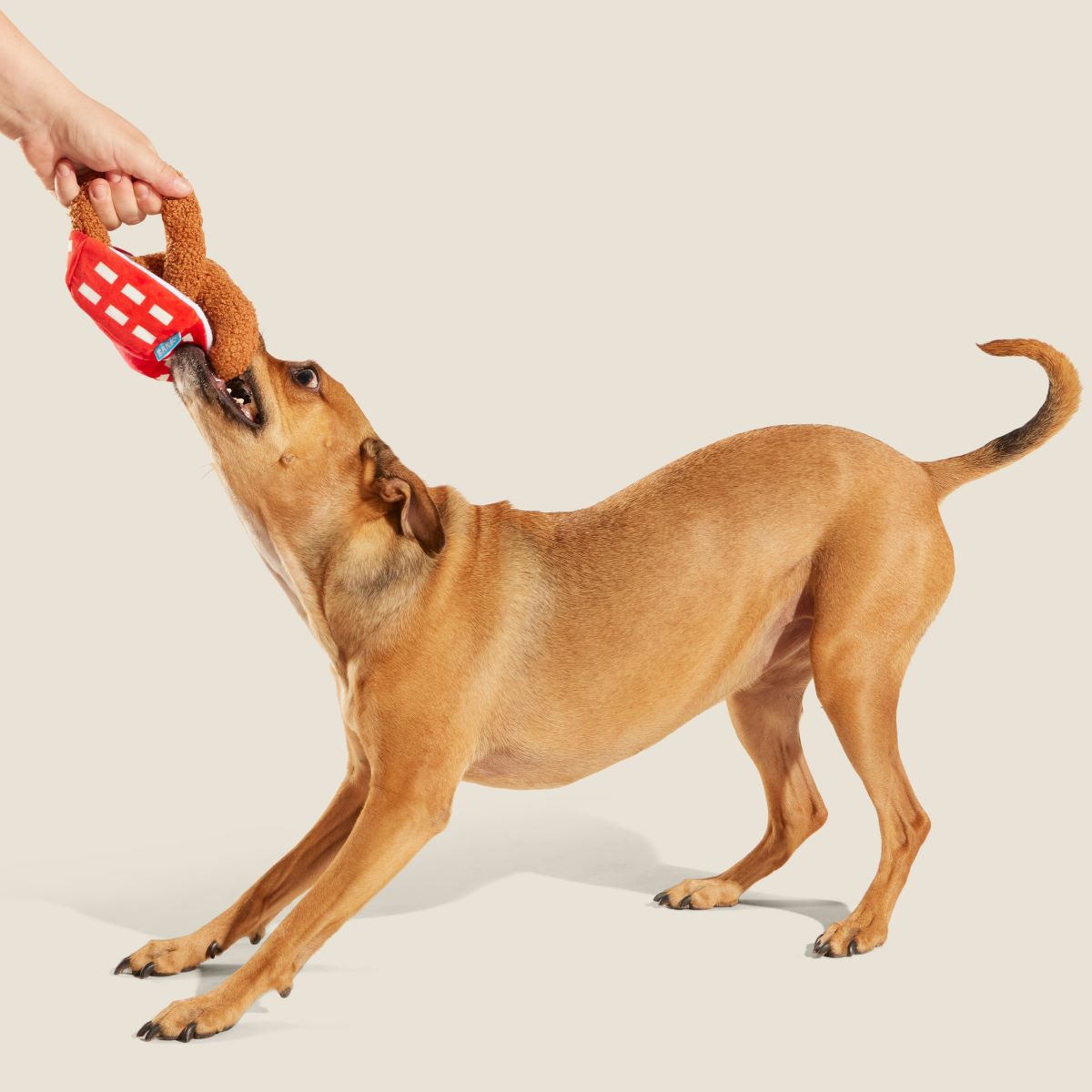 Onion Flings Plush Tug + Enrichment Dog Toy - Image 5