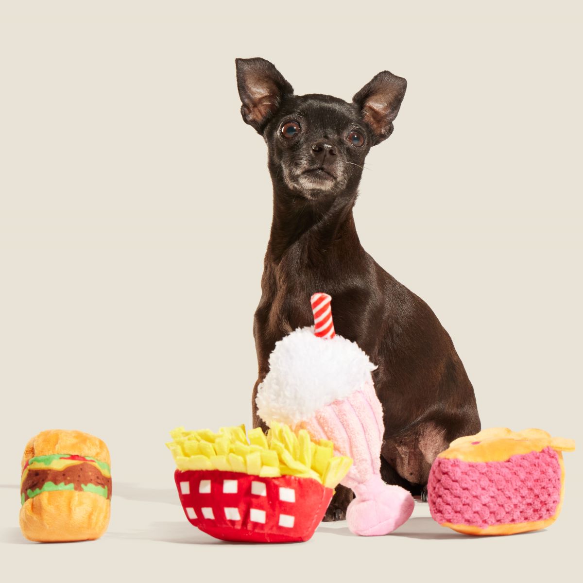 Dine & Dash Bundle Plush Multi-Part Dog Toy - Image 3