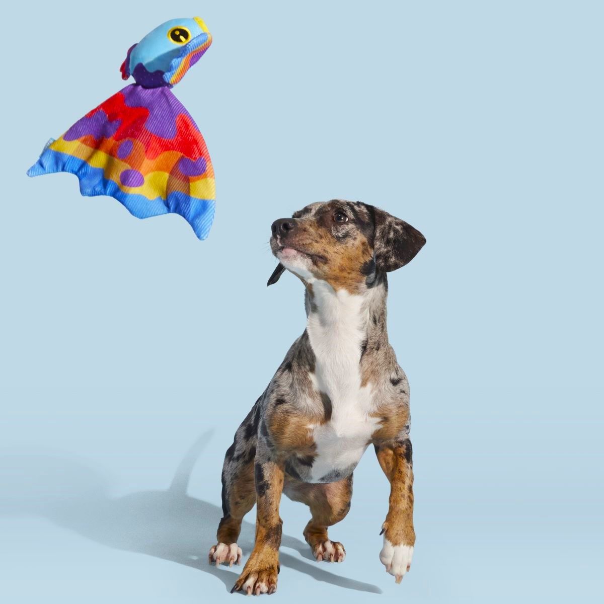 Beta Boop Plush Tug Dog Toy - Image 2