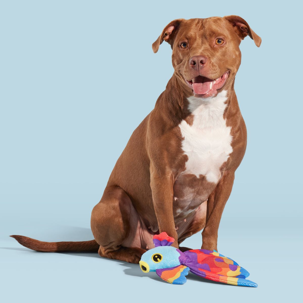 Beta Boop Plush Tug Dog Toy - Image 3
