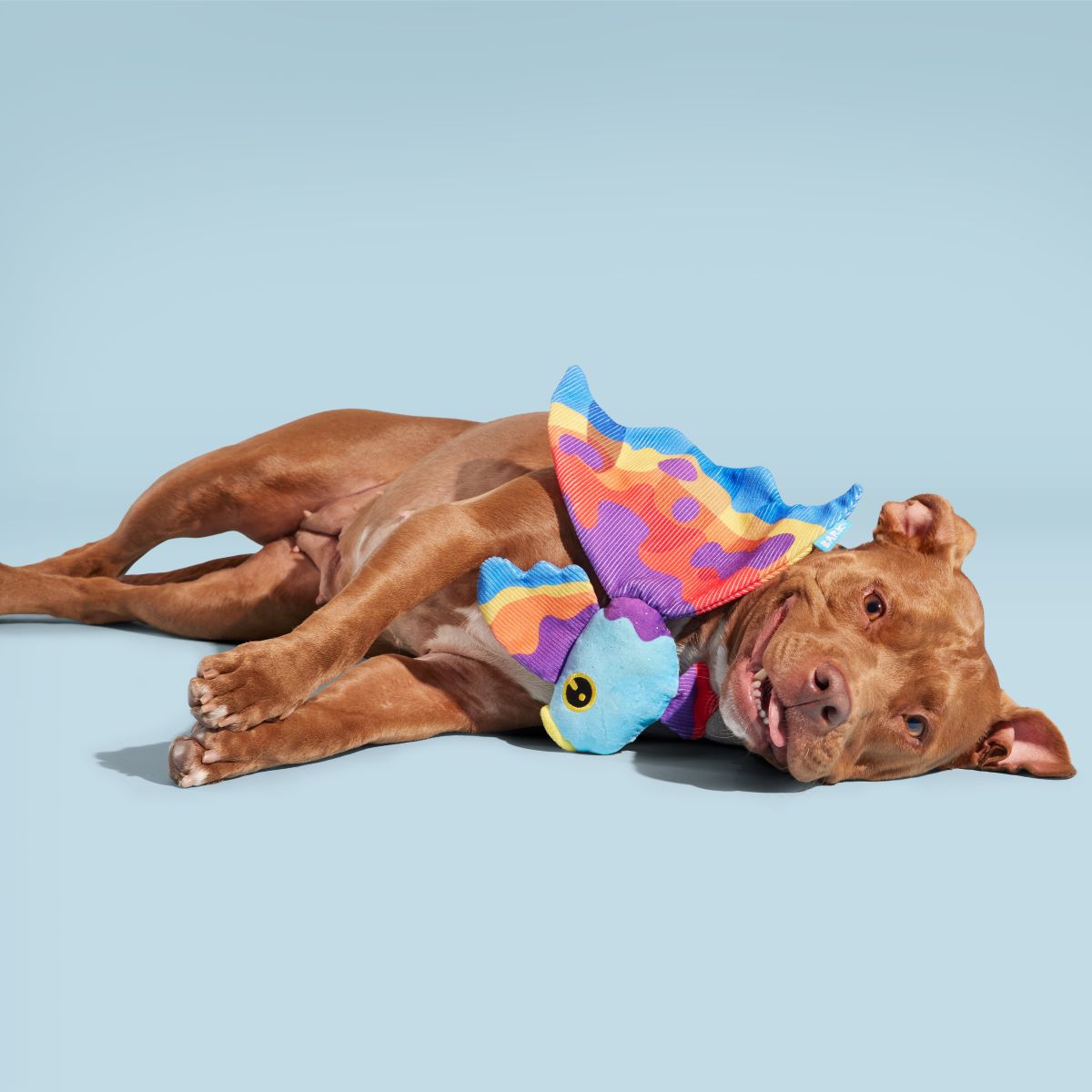 Beta Boop Plush Tug Dog Toy - Image 4
