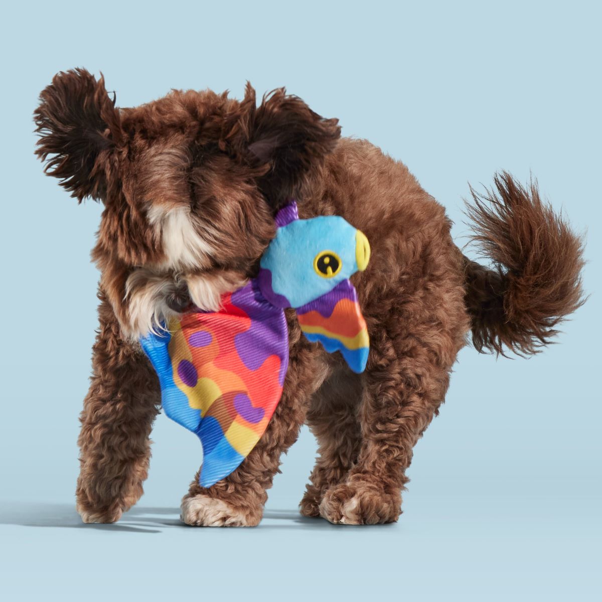 Beta Boop Plush Tug Dog Toy - Image 5